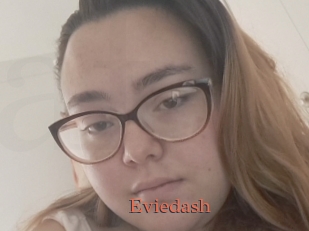 Eviedash