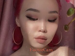 FactorCam