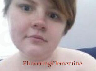 FloweringClementine