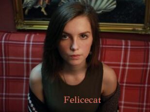 Felicecat