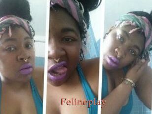 Felineplay
