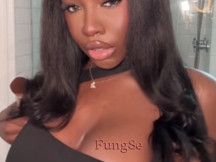 Fung8e