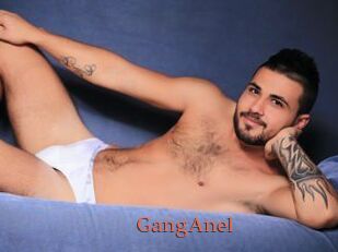 GangAnel