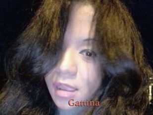 Gattina