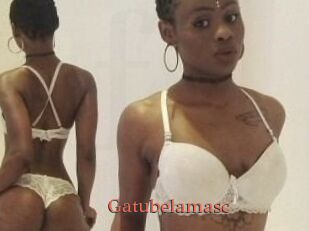 Gatubela_masc