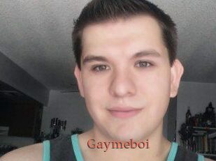 Gaymeboi