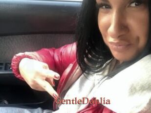 GentleDahlia