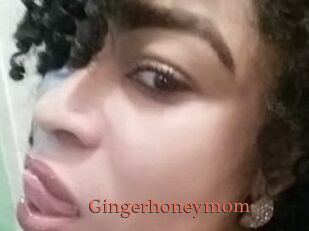 Gingerhoneymom