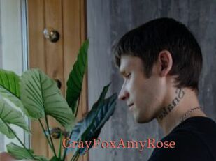 GrayFoxAmyRose