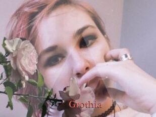 Grothia