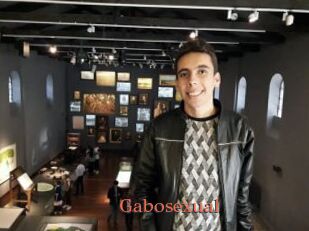 Gabosexual