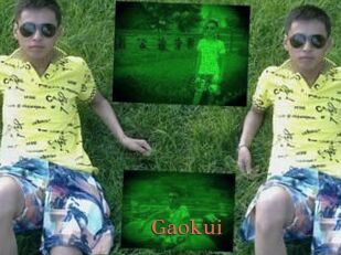 Gaokui