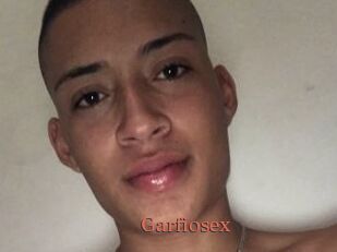 Garfiosex