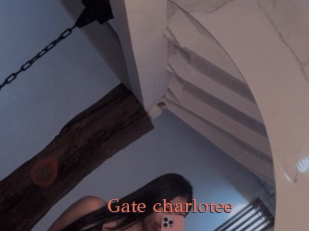 Gate_charlotee