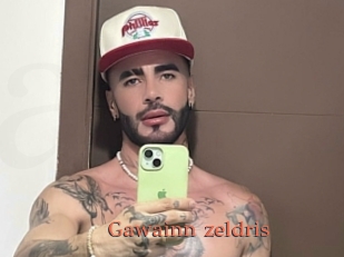 Gawainn_zeldris