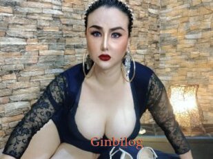 Ginbilog