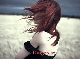 Gingercat