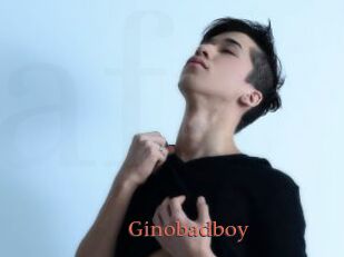 Ginobadboy