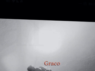 Graco