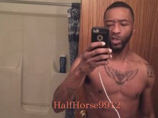 HalfHorse9912