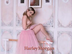 HarleyMorgan