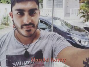 Harold_horny