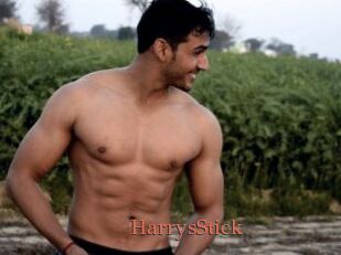 HarrysStick