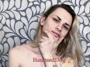 HauntedDog