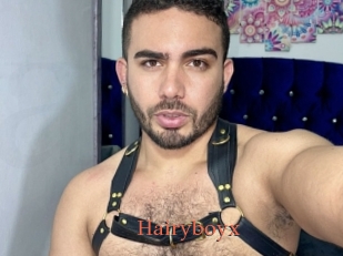 Hairyboyx