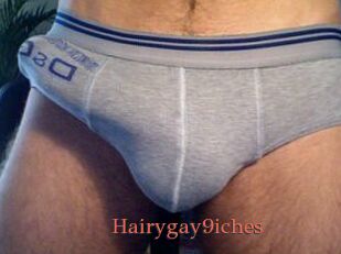 Hairygay9iches