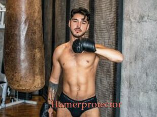 Hamerprotector