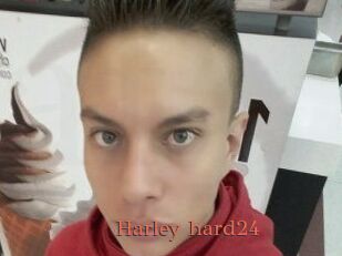 Harley_hard24