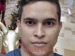 Harold_bigcock