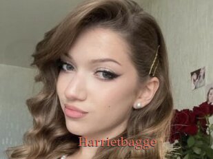 Harrietbagge