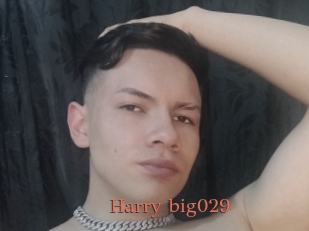 Harry_big029