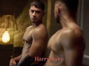 Harryblake