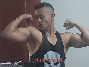 Harveywull