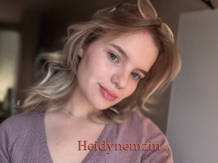 Heidynemzin