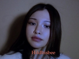 Hildbisbee