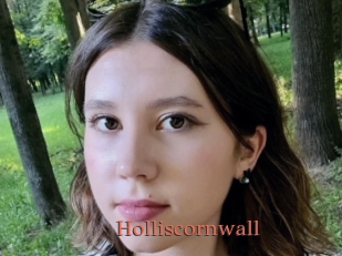 Holliscornwall