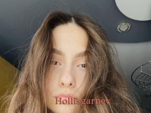 Hollisgarney