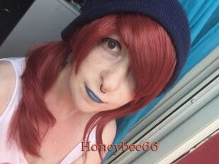 Honeybee66