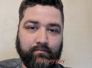 Horneyguy