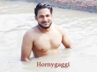 Hornygaggi
