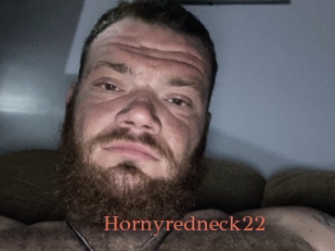 Hornyredneck22