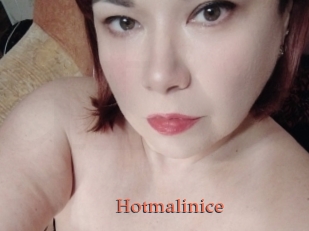 Hotmalinice