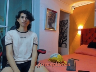 igorespinoza Anal Favorite