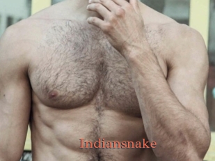 Indiansnake