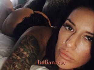 Italianrose