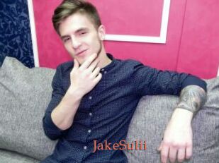 JakeSulii